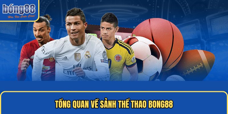 Tổng quan về sảnh thể thao Bong88