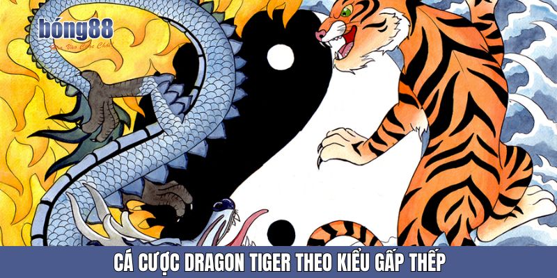 Cá cược dragon tiger theo kiểu gấp thếp