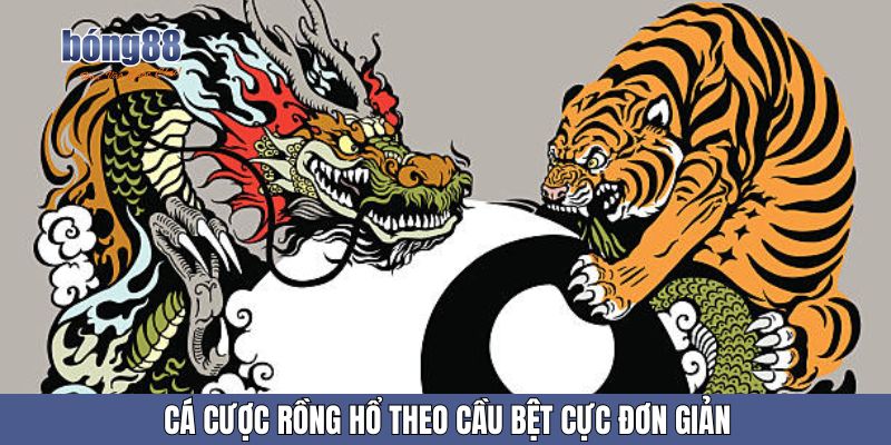 Cá cược rồng hổ theo cầu bệt cực đơn giản