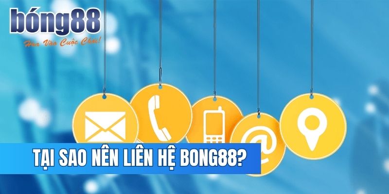 Cá cược an toàn, chiến thắng mỗi ngày cùng Bong88