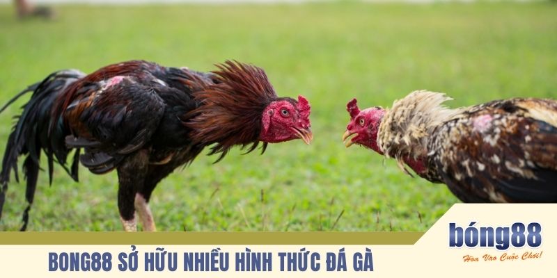 Hướng dẫn tạo tài khoản tham gia