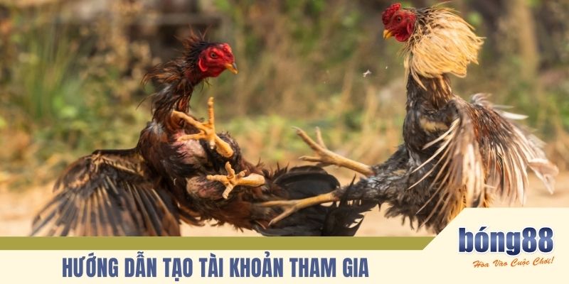 Bong88 sở hữu nhiều hình thức đá gà 