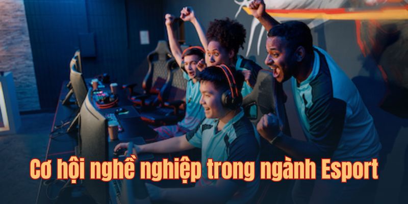 Làm cách nào để trở thành tuyển thủ chuyên nghiệp?