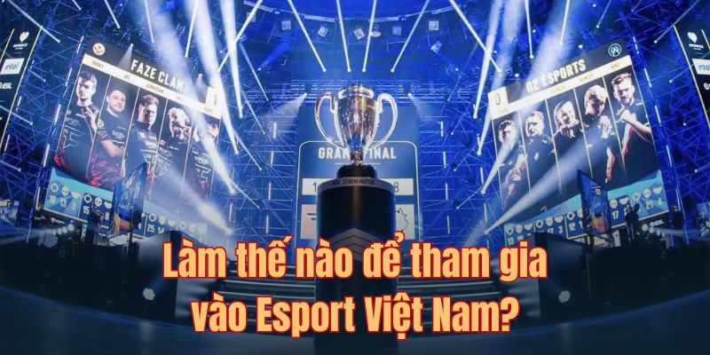 Vì sao Esport Việt Nam ngày càng vươn ra biển lớn?