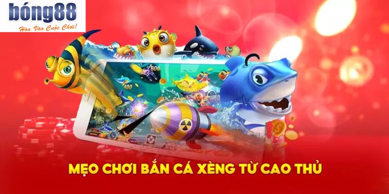 Mẹo giành chiến thắng lớn của săn cá xèng từ chuyên gia