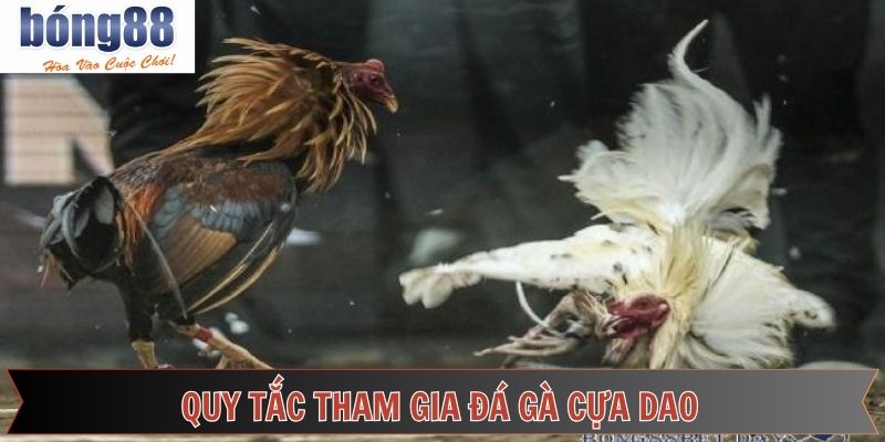 Những nguyên tắc đá gà cựa dao dành cho tân thủ