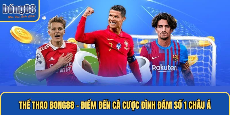 Thông tin cơ bản về thể thao Bong88