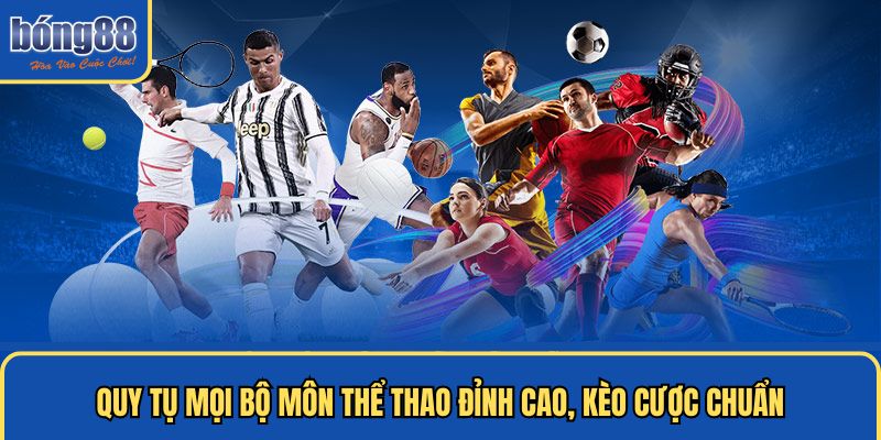 Quy tụ mọi bộ môn thể thao đỉnh cao, kèo cược chuẩn