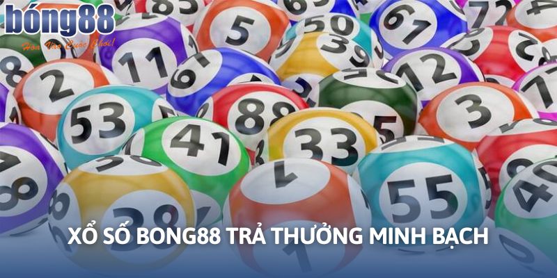 Nền tảng cam kết về chất lượng trả thưởng